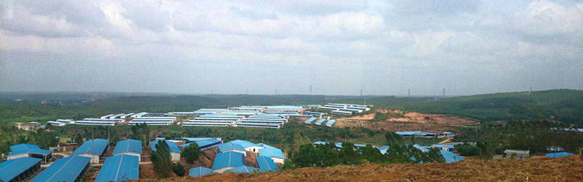 東莞市菜籃子,生豬網上交易,生豬網上交易及溯源平臺